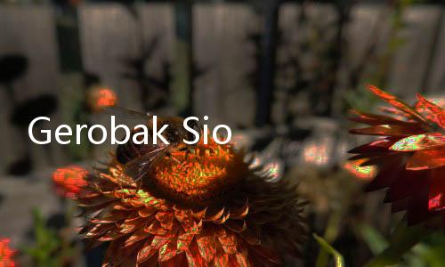 Gerobak Siomay Jungkir Balik Ditabrak Pelajar yang Berkendara Sambil Main HP