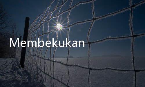 Membekukan Roti agar Lebih Tahan Lama, Amankah?