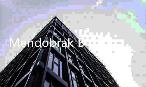 Mendobrak Batasan dan Visi Disrupsi Harry Halim