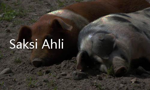 Saksi Ahli Kasus Panji Gumilang Jalani Pemeriksaan di Bareskrim Hari Ini